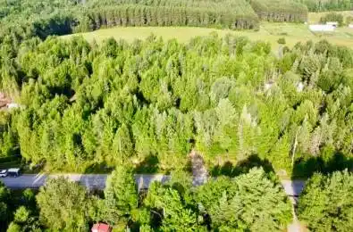 5280 Boulter Road Carlow/Mayo Ontario K0L 1G0
