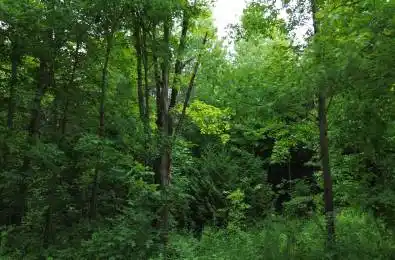 720227 SIDEROAD 20 Side Road Chatsworth Ontario N0H 1R0