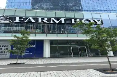 138 Downes Street Unit# 4716 Toronto C08 Ontario M5E 0E4