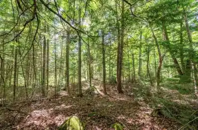 Buckshot Lake Road North Frontenac Ontario K0H 2M0
