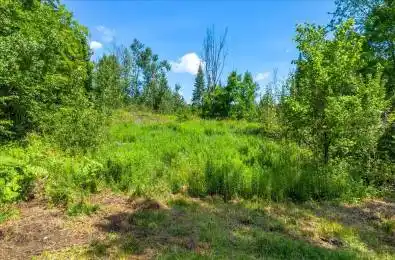 168 Limerick Lake Road Tudor & Cashel Ontario K0L 1W0
