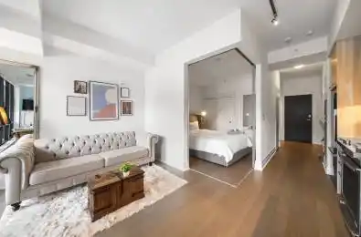 90 Niagara Street Unit# 306 Toronto C01 Ontario M5V 1C9