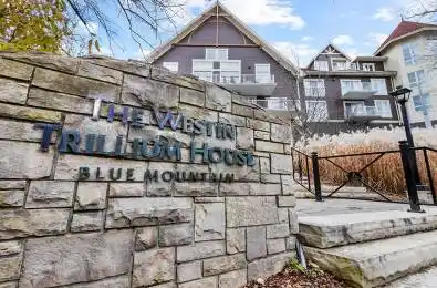 220 Gord Canning Drive Unit# 477 Blue Mountains Ontario L9Y 0K9