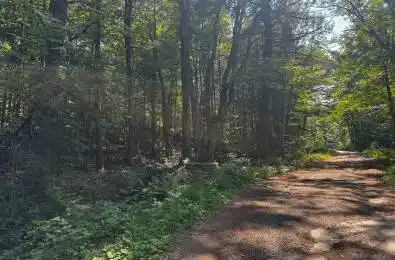 Kirk Line Bracebridge Ontario P1L 0A1