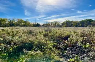 26 HONEY BEE Grove Stittsville - Munster - Richmond Ontario K0A 2Z0