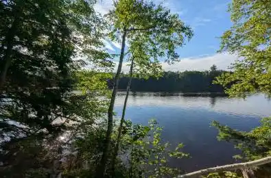 223 Shady Maple Road McNab/Braeside Ontario K0J 1G0