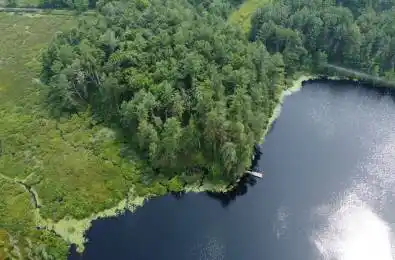 Part Lot 31 Rose Point Trail Seguin Ontario P2A 0B2