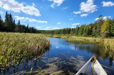 River Road Joly Ontario P0A 1X0