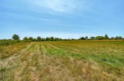 19060 Loyalist Parkway Prince Edward County Ontario K0K 1T0
