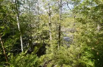 20B Ballantra Drive Stone Mills Ontario K0K 3G0