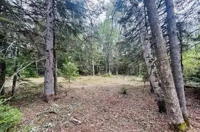 1227 Bay Lake Road Bancroft Ontario K0L 1C0