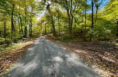 234 LONGS LAKE Road Huntsville Ontario P0B 1M0