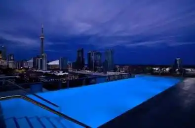 55 Stewart Street Unit# 310 Toronto C01 Ontario M5V 2V1