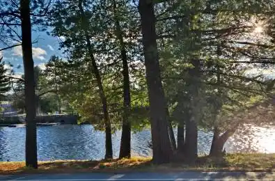 375 SANTAS VILLAGE Road Bracebridge Ontario P1L 1W8