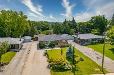 44 Delrex Boulevard Halton Hills Ontario L7G 3Y4
