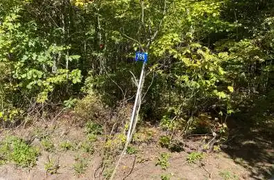 188 Con 9 Road Lanark Highlands Ontario K0A 1P0