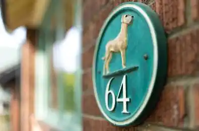 64 Manor Road Toronto C10 Ontario M4S 1P8