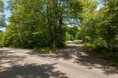 1028 Bruce Lake Drive Muskoka Lakes Ontario P0B 1J0
