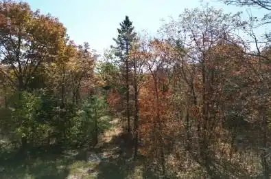 PT LT 35 CON 7 Glamor Lake Road Highlands East Ontario K0M 1R0