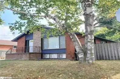 88 Burkholder Drive Unit# Lower Hamilton Ontario L8V 3B8