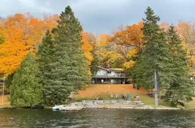 197 Lightning Point Road Kawartha Lakes Ontario K0M 1K0