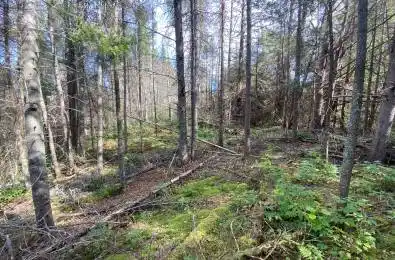 Municipal Road Machar Ontario P0A 1X0