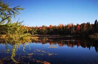 2087 Machar Strong Boundry Road Strong Ontario P0A 1Z0