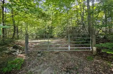 611 Bray Lake Road Machar Ontario P0A 1X0