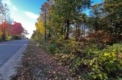 lot 0 Bellamy Road McNab/Braeside Ontario K0A 3L0