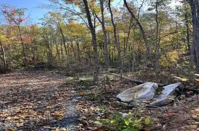 47 County Road Havelock-Belmont-Methuen Ontario K0L 1Z0