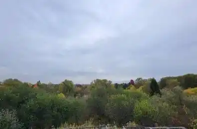 44 Moldovan Drive Brampton Ontario L6R 0E4