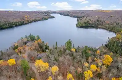 464A Mooney Road Hastings Highlands Ontario K0L 1C0