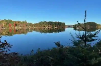 52 Hawkins Point Road Georgian Bay Ontario P0C 1H0