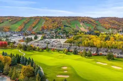 107 Wintergreen Place Unit# 113 Blue Mountains Ontario L9Y 0P8