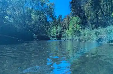 60 Kleins Ridge Road Vaughan Ontario L0J 1C0