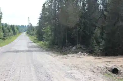 148 Cottrell Road Strong Ontario P0A 1Z0