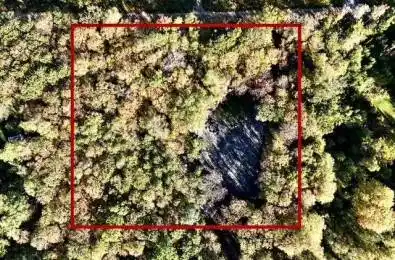 1394 Bartlett Lake Road Ryerson Ontario P0A 1Y0