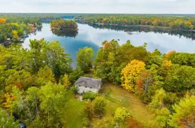 1144 South Morrison Lake Road Gravenhurst Ontario P0E 1G0