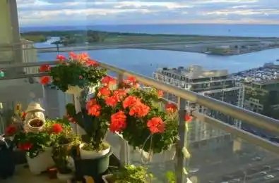 5 Mariner Terrace Unit# 3307 Toronto C01 Ontario M5V 3V6